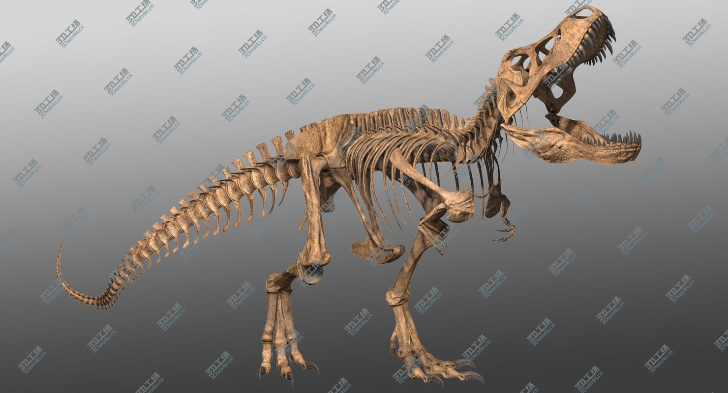 images/goods_img/202104091/3D Tyrannosaurus Rex Skeleton/1.jpg